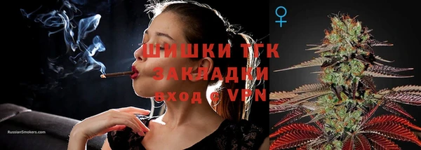 круглые Вяземский