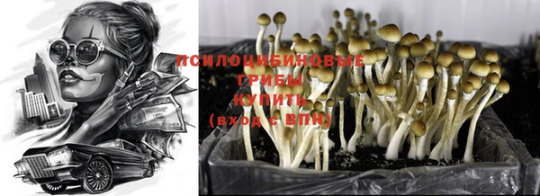шишки Вязники