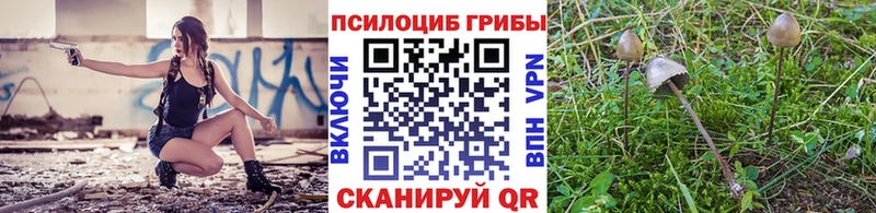 Галлюциногенные грибы Cubensis  ОМГ ОМГ зеркало  Задонск 